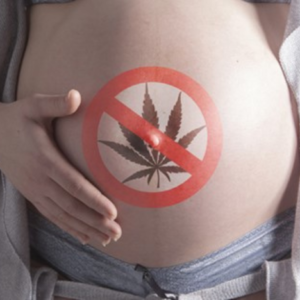 Gestación, lactancia y consumo de cannabis