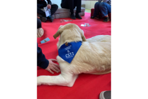 El CST i la Fundació Barça impulsen el projecte de teràpia assistida amb gossos 'Potes que acompanyen' al CSMIJ Rubí-Castellbisbal